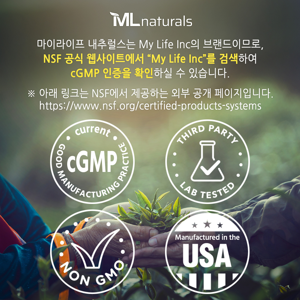 마이라이프내추럴스 밀크씨슬 2000mg 알약 240캡슐, 4개 이미지 4