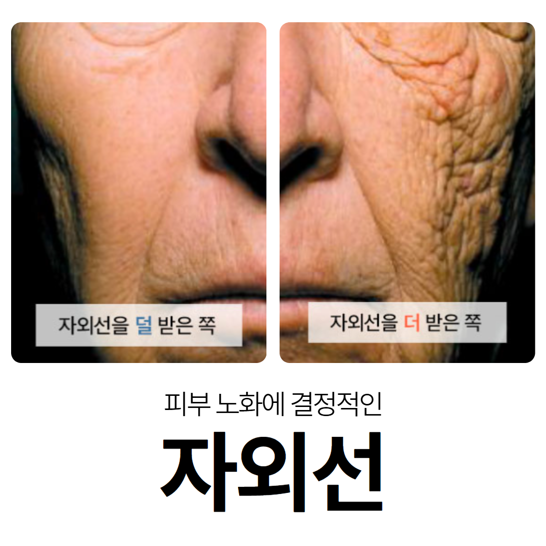 [암막코팅] 햇살지킴이 암막양산 경량 자동 자외선차단 우산 겸용 양우산 이미지 3