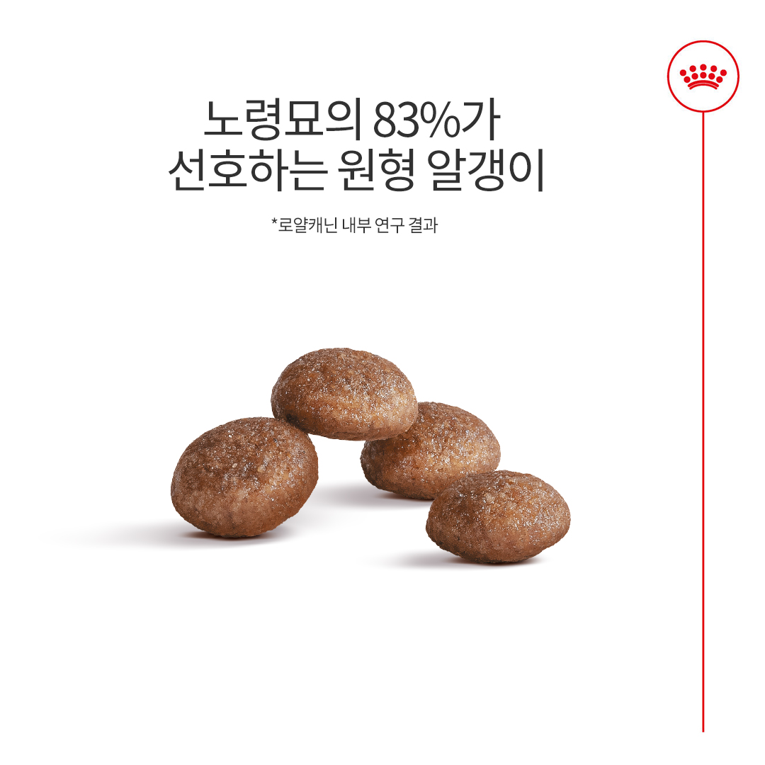 로얄캐닌 고양이사료 노령묘사료 11+고양이사료 고양이사료추천