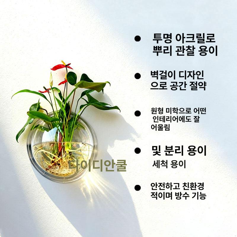 투명 아크릴 화분 수경 벽걸이 플라스틱 벽부형 키우기 18.5cm 없음+후크 - 상세 이미지 3