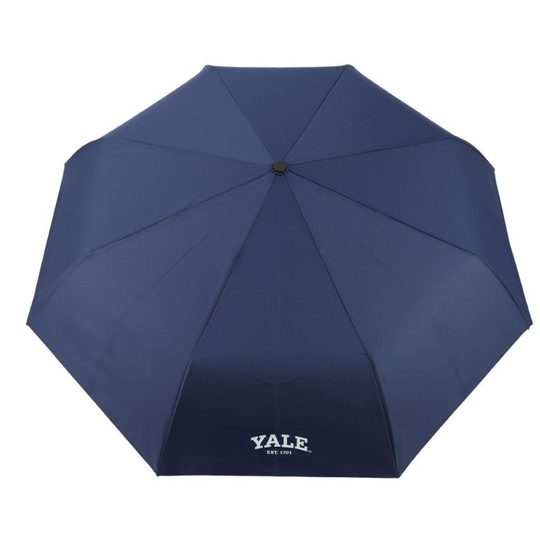 YALE 3단 완전 자동 우산 55 어린이 초등학생 저학년 고학년 튼튼한... 솔직 후기 | 실사용자 리뷰 분석 - 대표 이미지