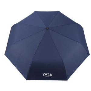 YALE 3단 완전 자동 우산 55 어린이 초등학생 저학년 고학년 튼튼한... 솔직 후기 | 실사용자 리뷰 분석 - 상품 이미지 1