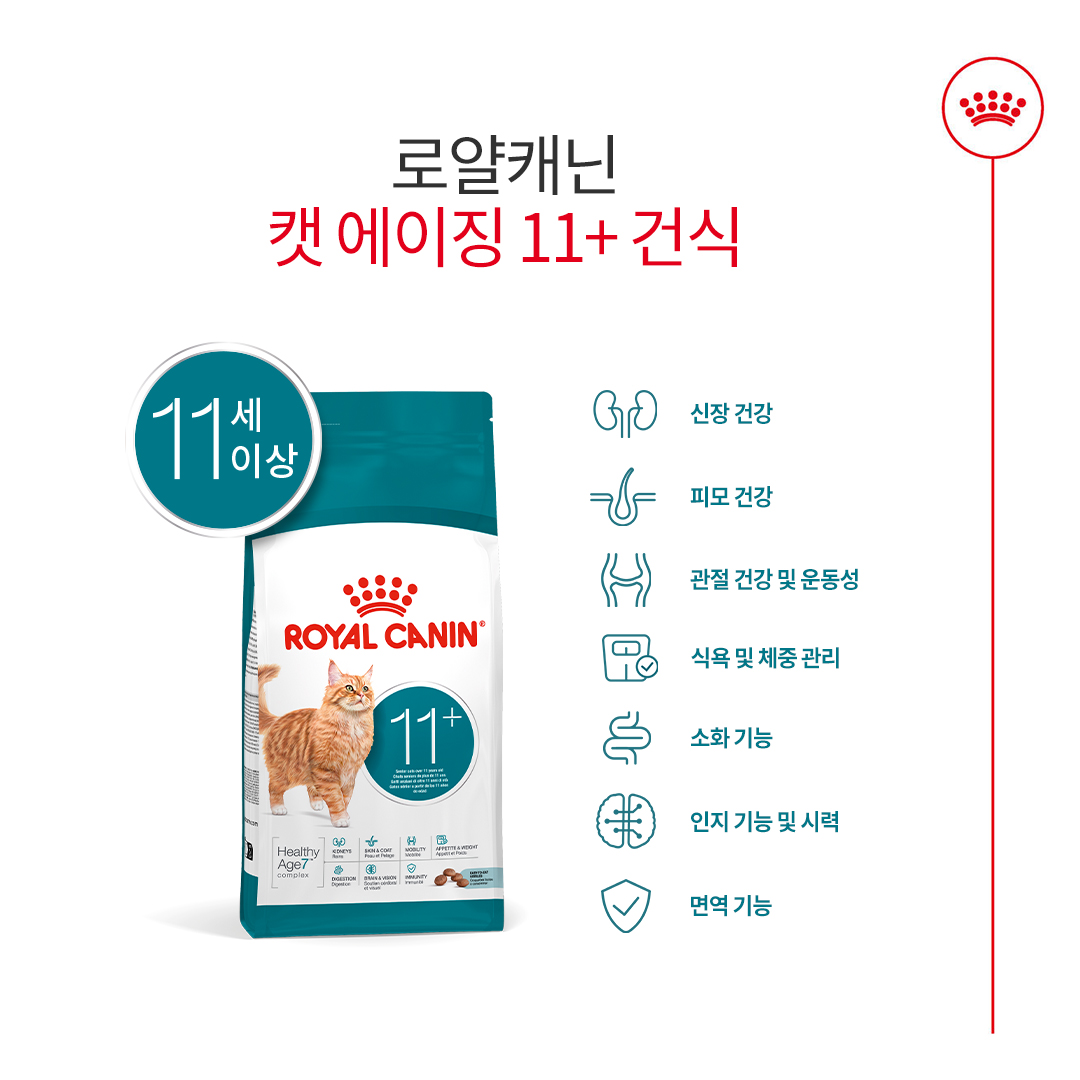 로얄캐닌 고양이사료 노령묘사료 11+고양이사료 고양이사료추천