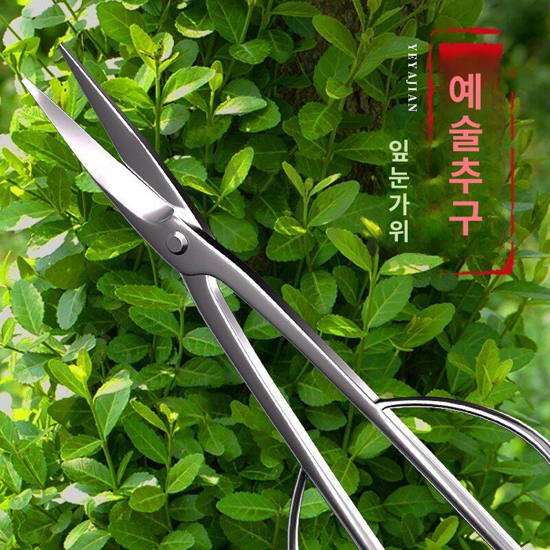 뿌리 가위 원예 펜치 분재 나무가지 각도형 커터 21cm 탄소강 - 상세 이미지 5