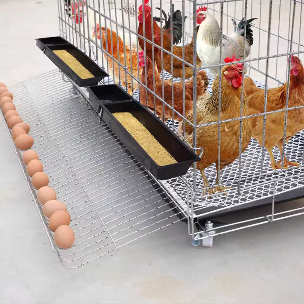 야외 닭장 사육장 시골 마당 용 자동 접이식 계란 케이지 70x50 - 상세 이미지 5