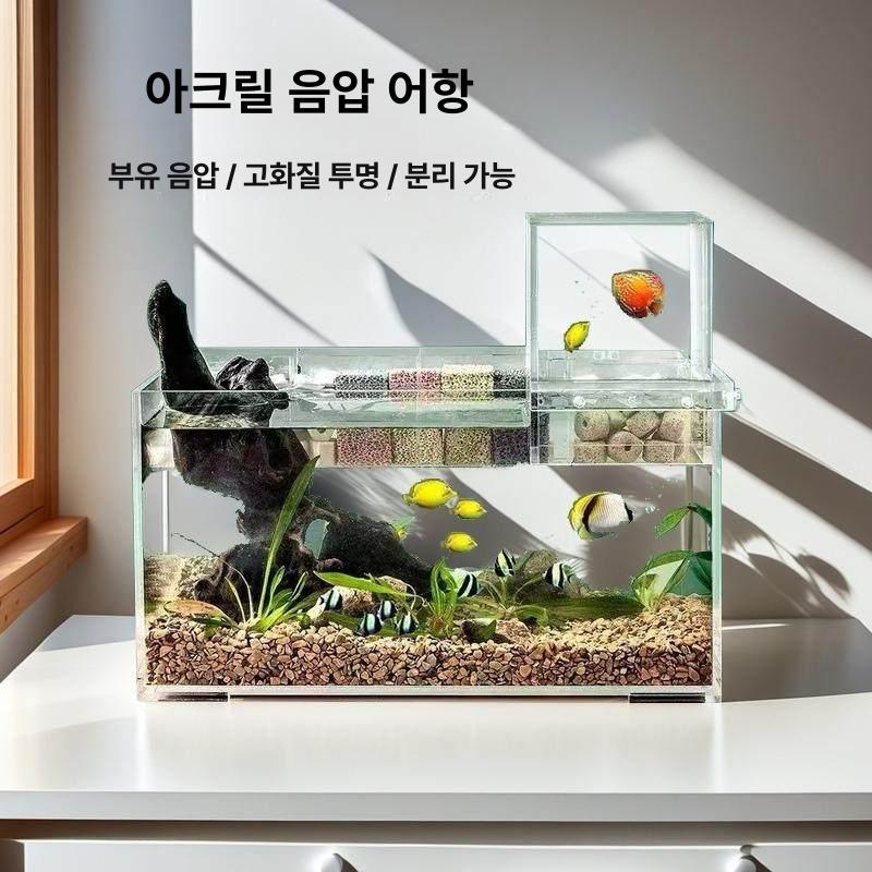 아크릴 소형 생태 거실 물고기 탁상용 미니 수조 장식 8 x 8x15 - 상세 이미지 2