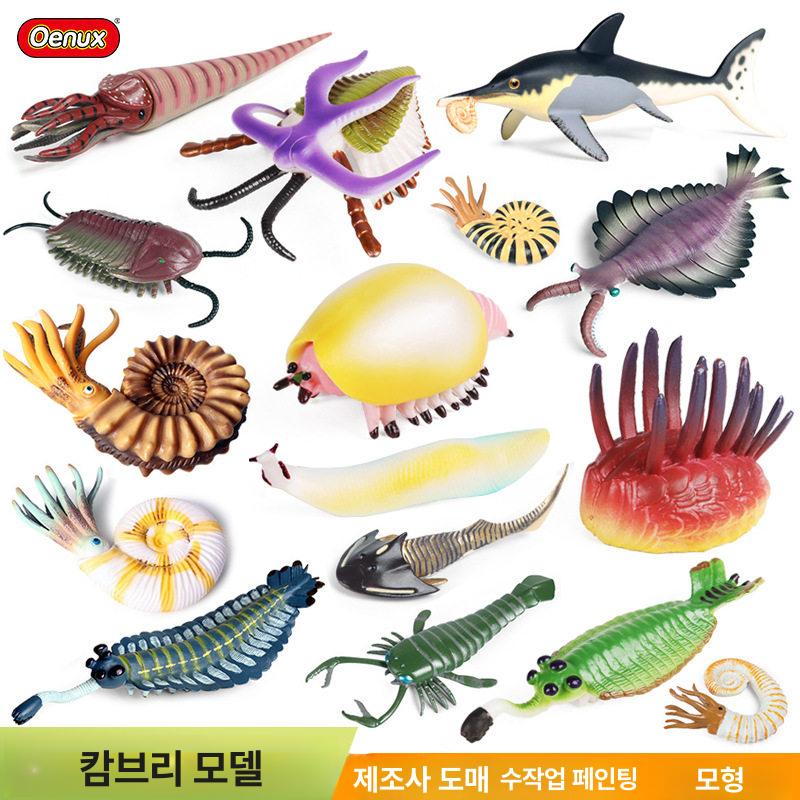 심해 고대생물 암모나이트 삼엽충 바다 마르 트리플 리프 - 상세 이미지 3