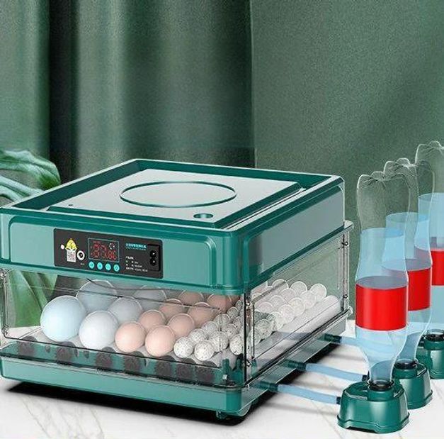 스마트 계란부화기 조류 반자동 달걀 전자동 자동회전 병아리 - 상세 이미지 4
