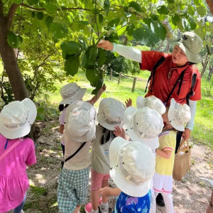 [6인이하] 북서울꿈의숲 오감폭발 봄 숲체험 by 반가워숲학교 솔직 후기 | 실사용자 리뷰 분석 - 상품 이미지 2
