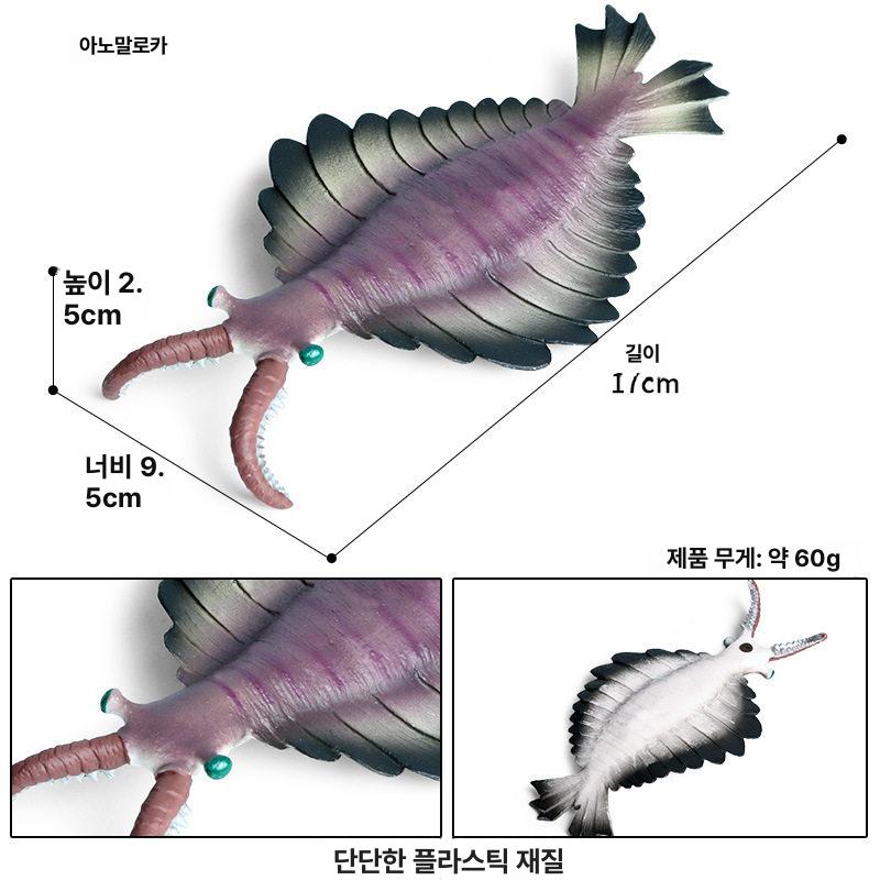 심해 고대생물 암모나이트 삼엽충 바다 마르 트리플 리프 - 상세 이미지 4