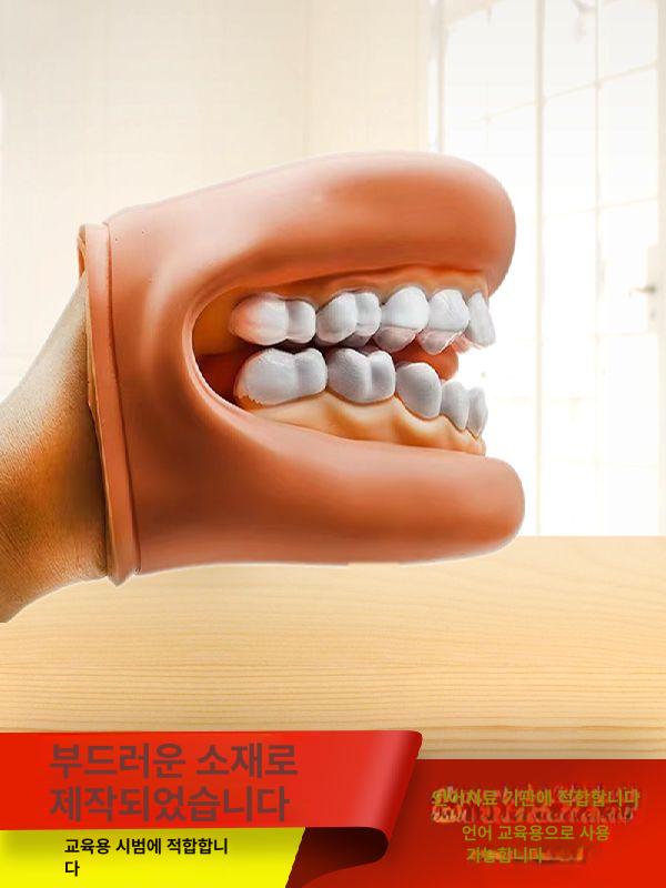 치과 치아모형 칫솔 구강 보조 교육 모양 모델 입 기본 포장 - 상세 이미지 5