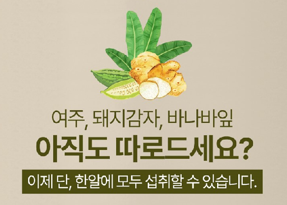여주발효효소분말 여주바나나플러스정 바나바환 바나바정 - 상세 이미지 3