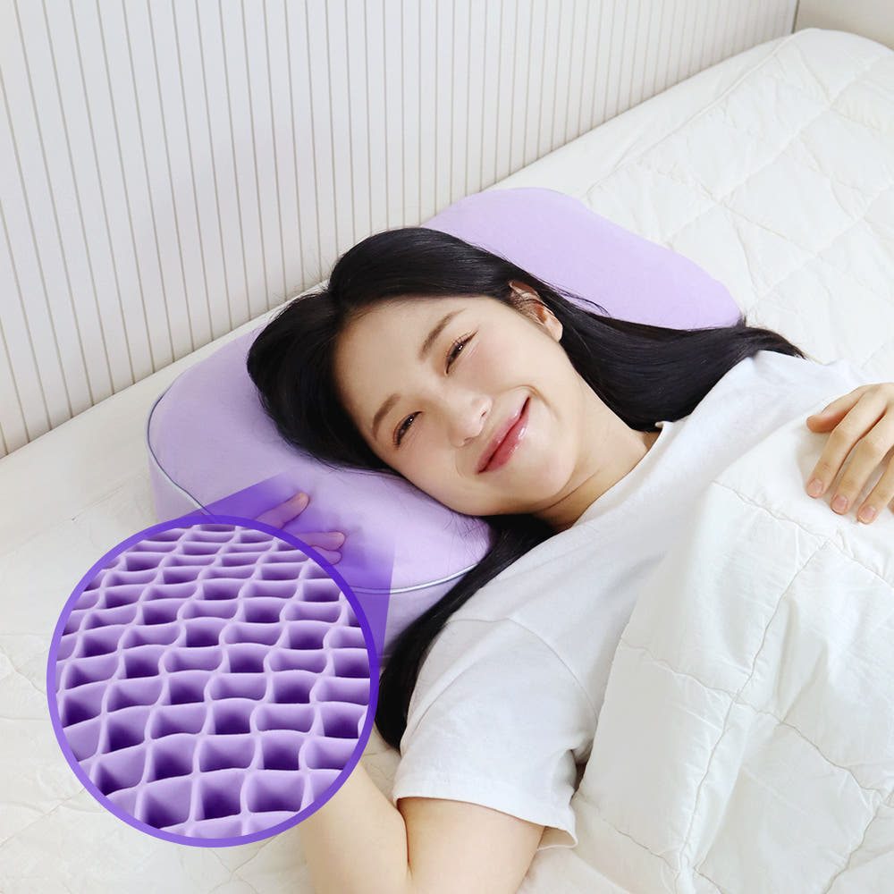 바디씨 에그젤 경추베개 TPE 엘라머 퍼플 가격 비교 바디씨 바디씨 에그젤 경추베개 TPE 엘라머 퍼플