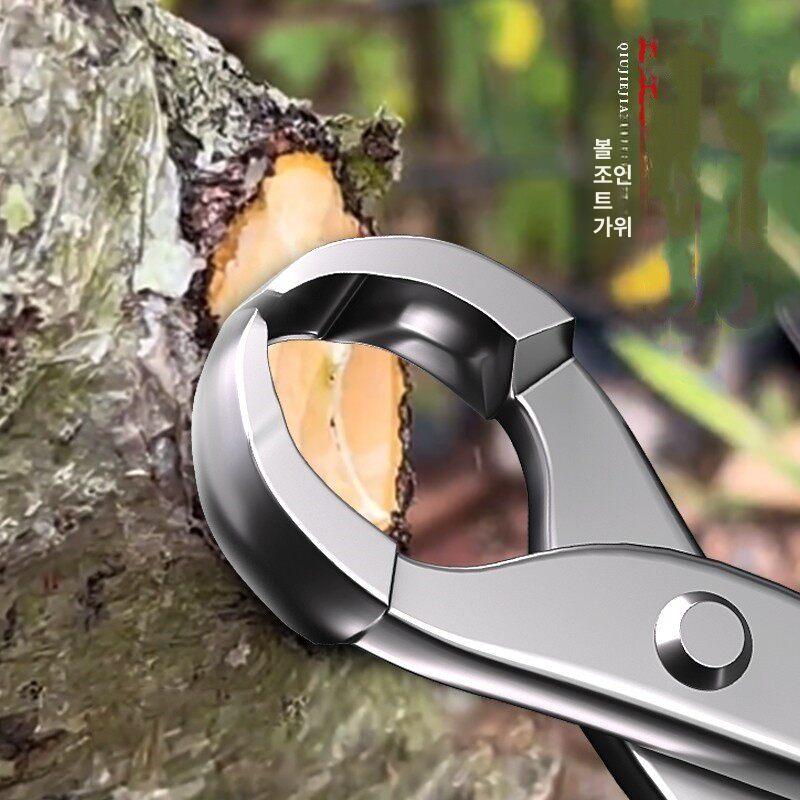 뿌리 가위 원예 펜치 분재 나무가지 각도형 커터 21cm 탄소강 - 상세 이미지 3