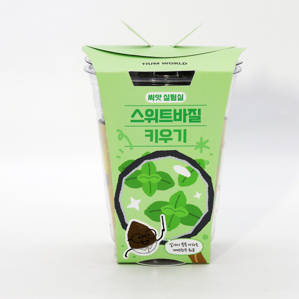 허브 바질 씨앗 키우기 저면관수 재배 세트 - 상세 이미지 2