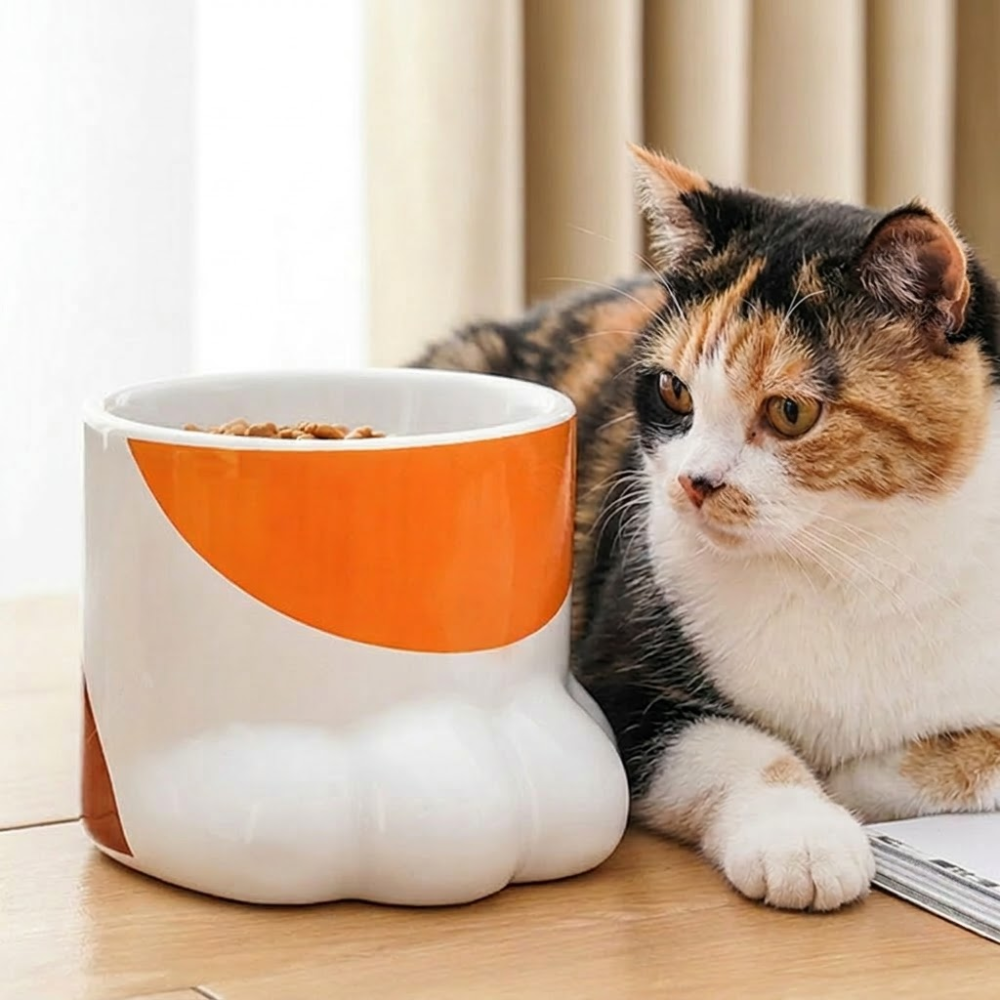 다묘집사 고양이 발 도자기 식기 - 상세 이미지 2