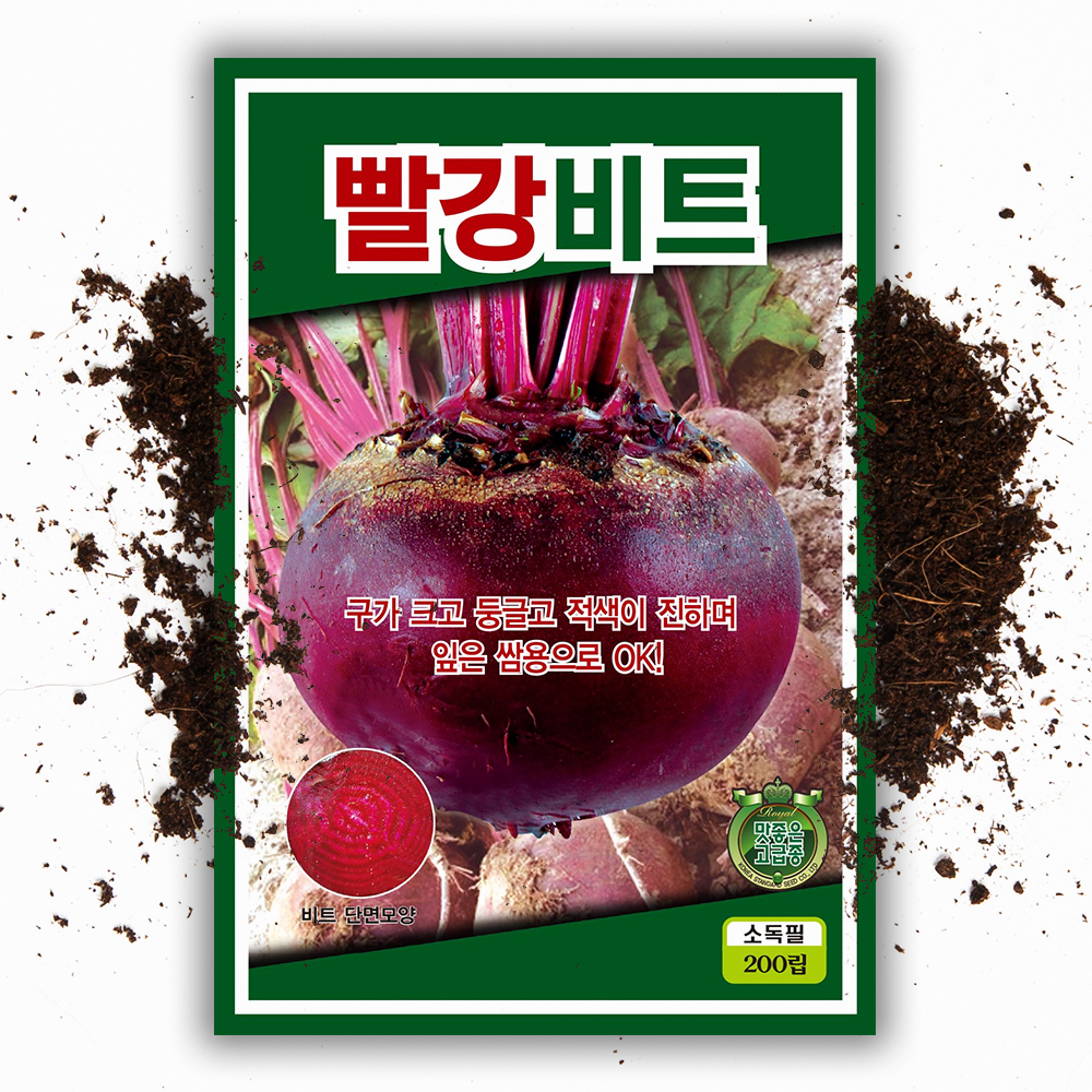 비트씨앗 200립 비트 씨 종자 채소 씨앗 - 상품 이미지