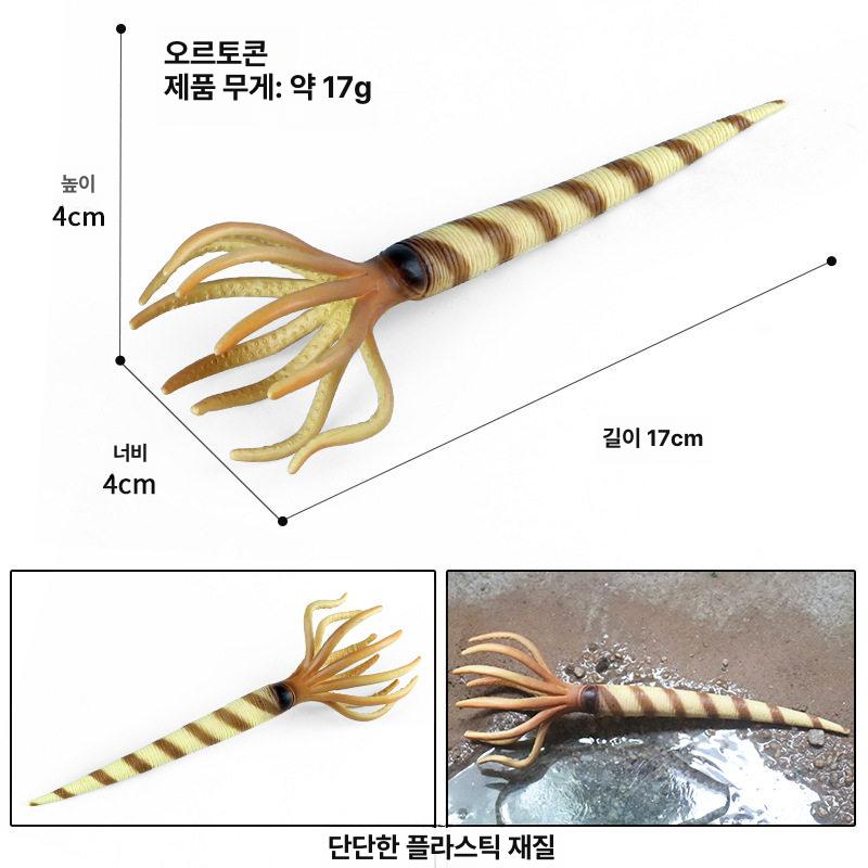 심해 고대생물 암모나이트 삼엽충 바다 마르 트리플 리프 - 상세 이미지 5