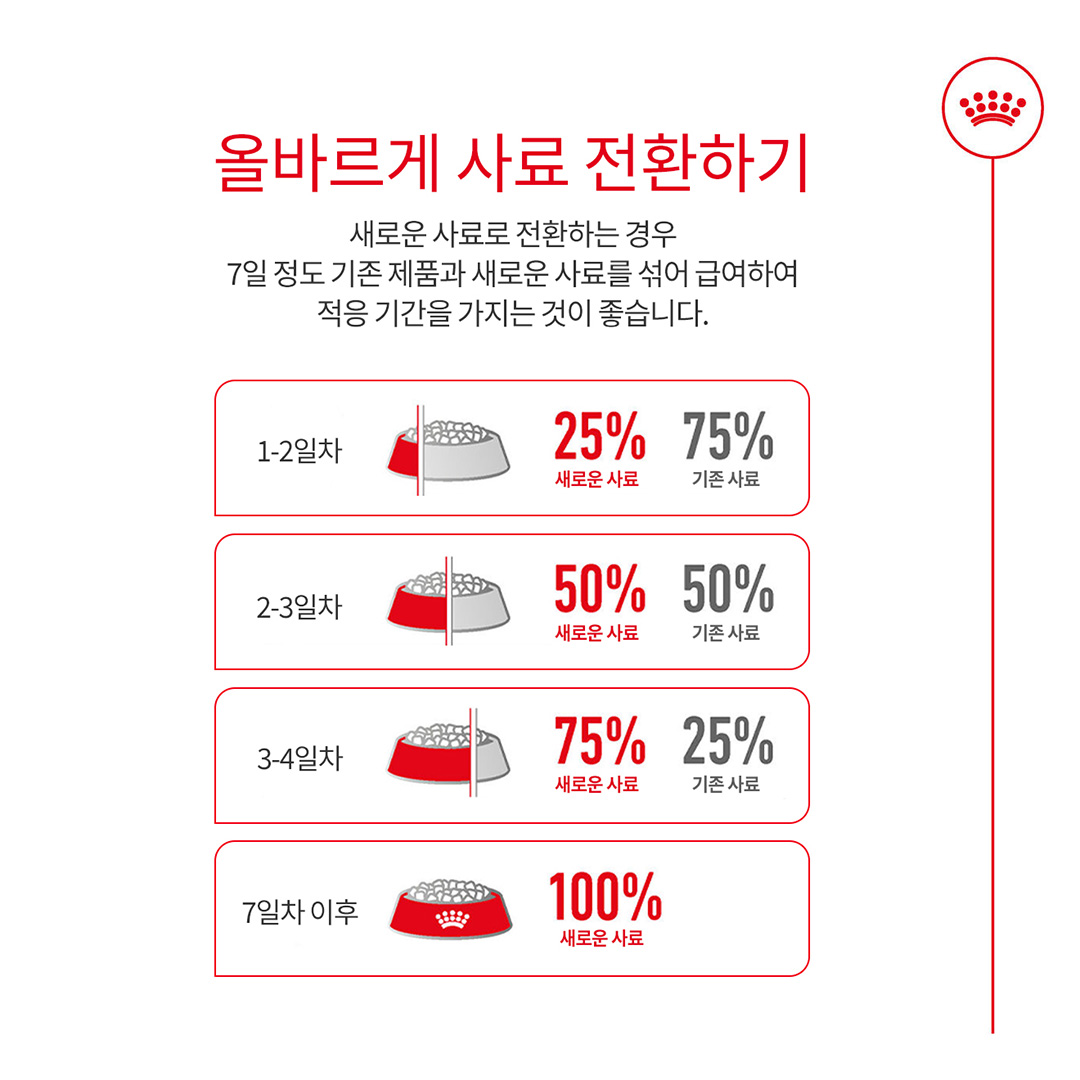 로얄캐닌 캣 에이징 11+, 4kg, 1개 이미지 6
