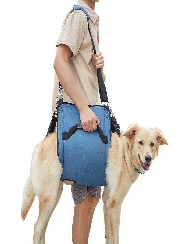 노견 보조 기구 슬개골 블루 반려견 부상 대형견 보행기 블루 M 25cm 5-10kg - 상세 이미지 3