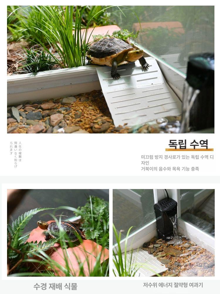 아쿠아쉘 대형 거북이 사육장 반수생 수족관 수조 어항 80cm 조경 포함 - 상세 이미지 4