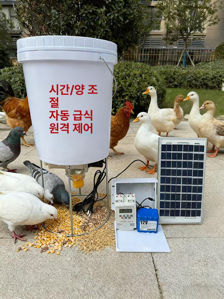 자동 급여기 먹이통 디스펜서 닭모이 사료 피더기 수족관 타이머 급식기 통 먹이 구피 - 상세 이미지 4
