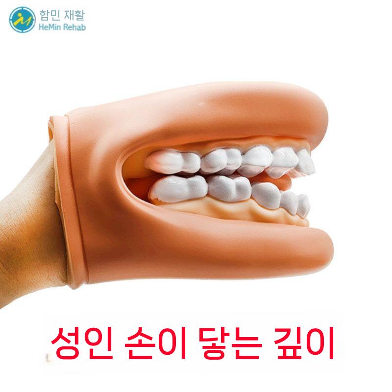 치과 치아모형 칫솔 교육 모델 모양 보조 구강 입 - 상세 이미지 2