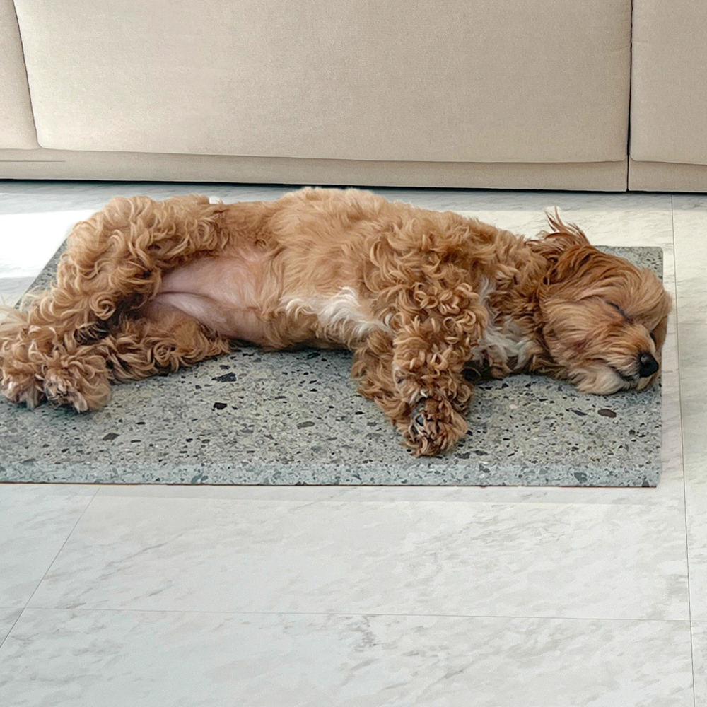 투인플레이스 강아지 고양이 쿨매트 대리석 단품 그린그레이(천연대리석), M 중형