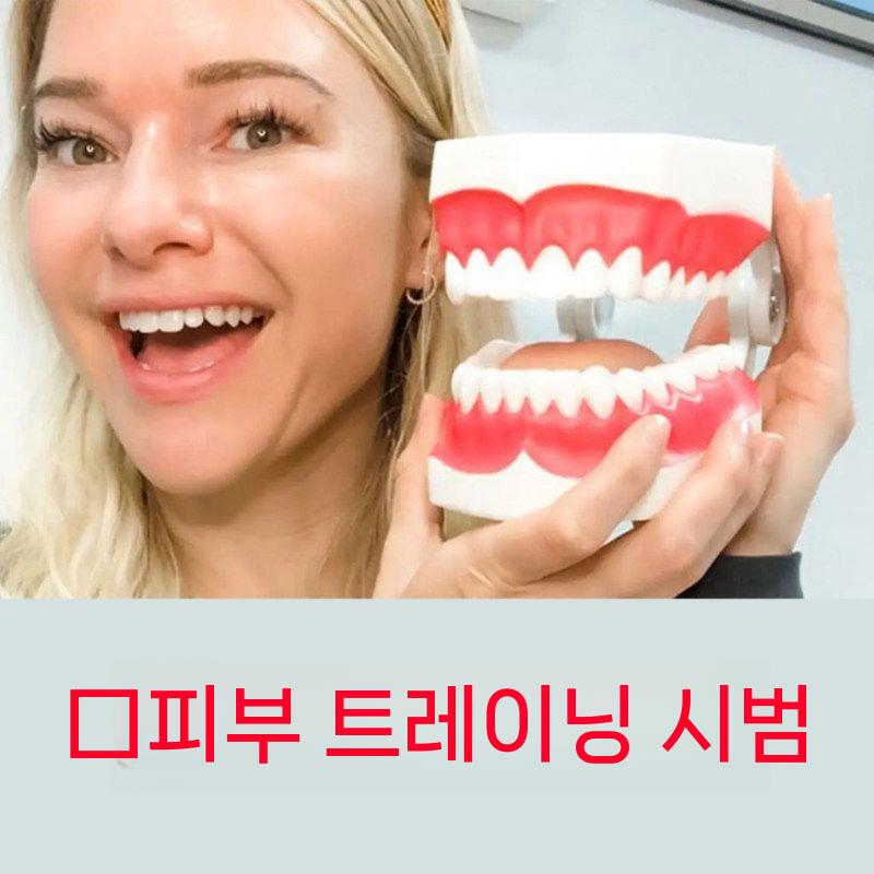 치과 치아모형 칫솔 교육 모델 모양 보조 구강 입 - 상세 이미지 4