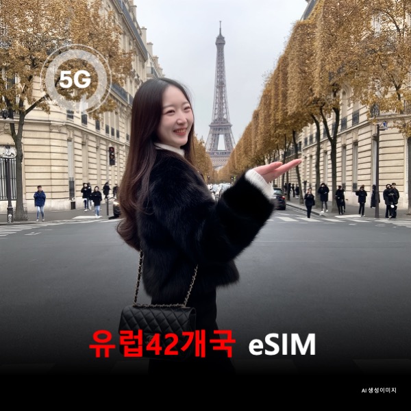 [통큰무제한] 유럽42개국+아랍에미리트+카타르 통합 이심 eSIM 데이터 전용 매일 5Gbyte 초고속 이후 1Mbps 고속 무제한 이심통 - 상품 이미지