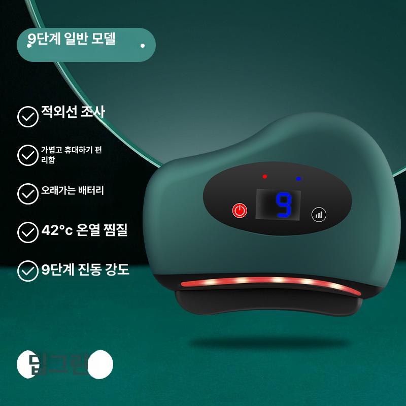 전동 마사지기 등 진동 온열 가열 뷰티 케어 홈케어 그린 9단 표준 중국어 포장 이미지 6