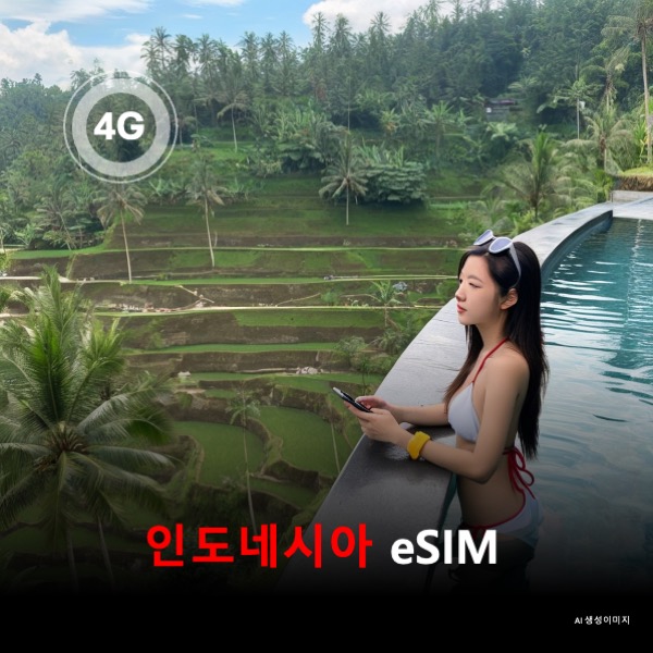 [통큰무제한] 인도네시아 이심 eSIM 데이터 전용 매일 5Gbyte 초고속 이후 1Mbps 고속 무제한 이심통 - 상품 이미지