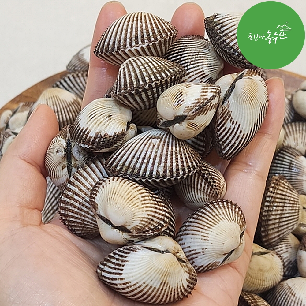 벌교 꼬막 새꼬막 피꼬막 참꼬막 여자만 당일조업 3kg - 상품 이미지