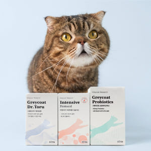 야옹섬 고양이 영양제 AIM 신장 집중 케어 세트 상황별 신부전 관리 솔직 후기 | 실제 사용자 리뷰 총정리 - 상품 이미지 1