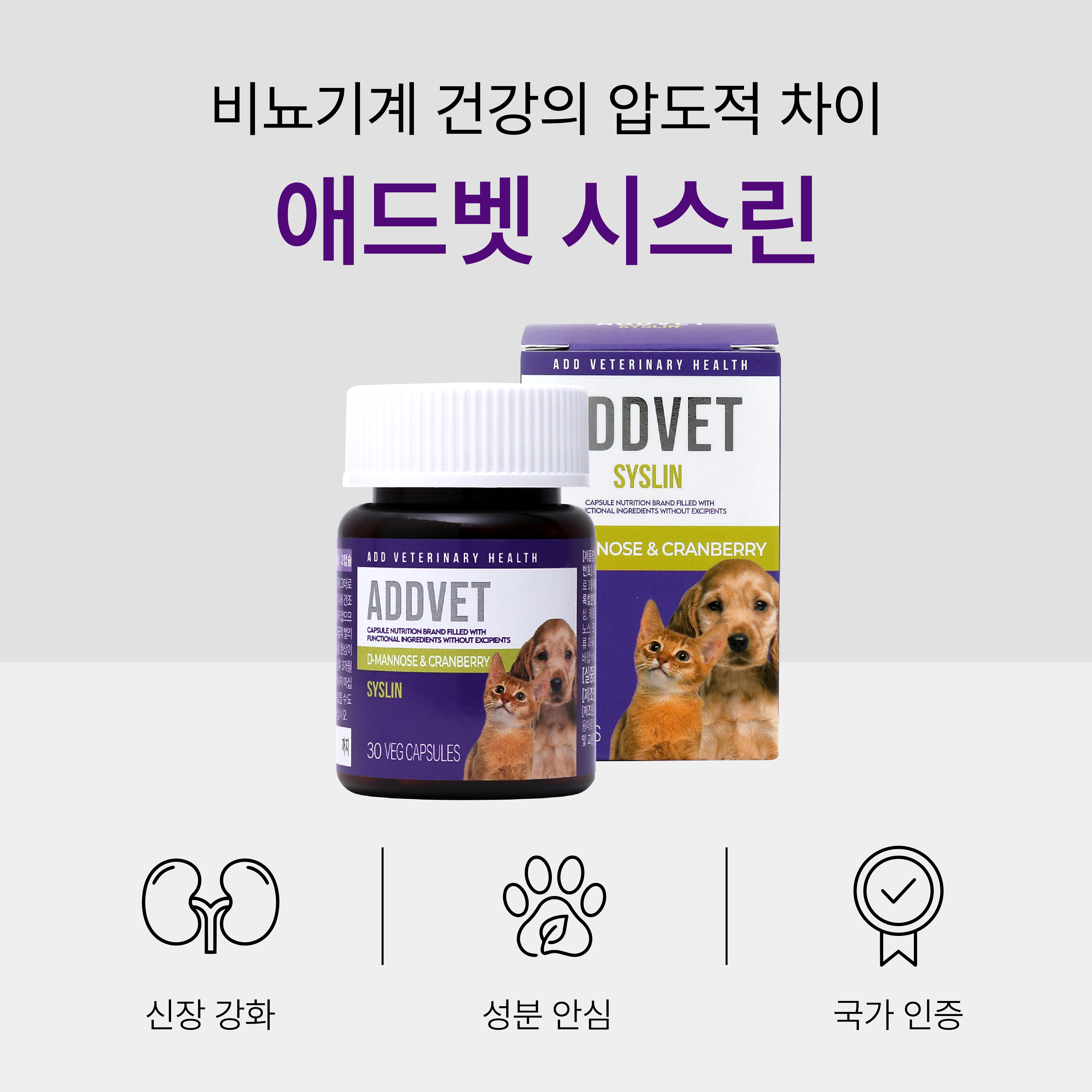 닥터리코 애드벳 시스린 강아지 신장 요로 결석 혈뇨 방광 영양제 30캡슐 - 상세 이미지 2