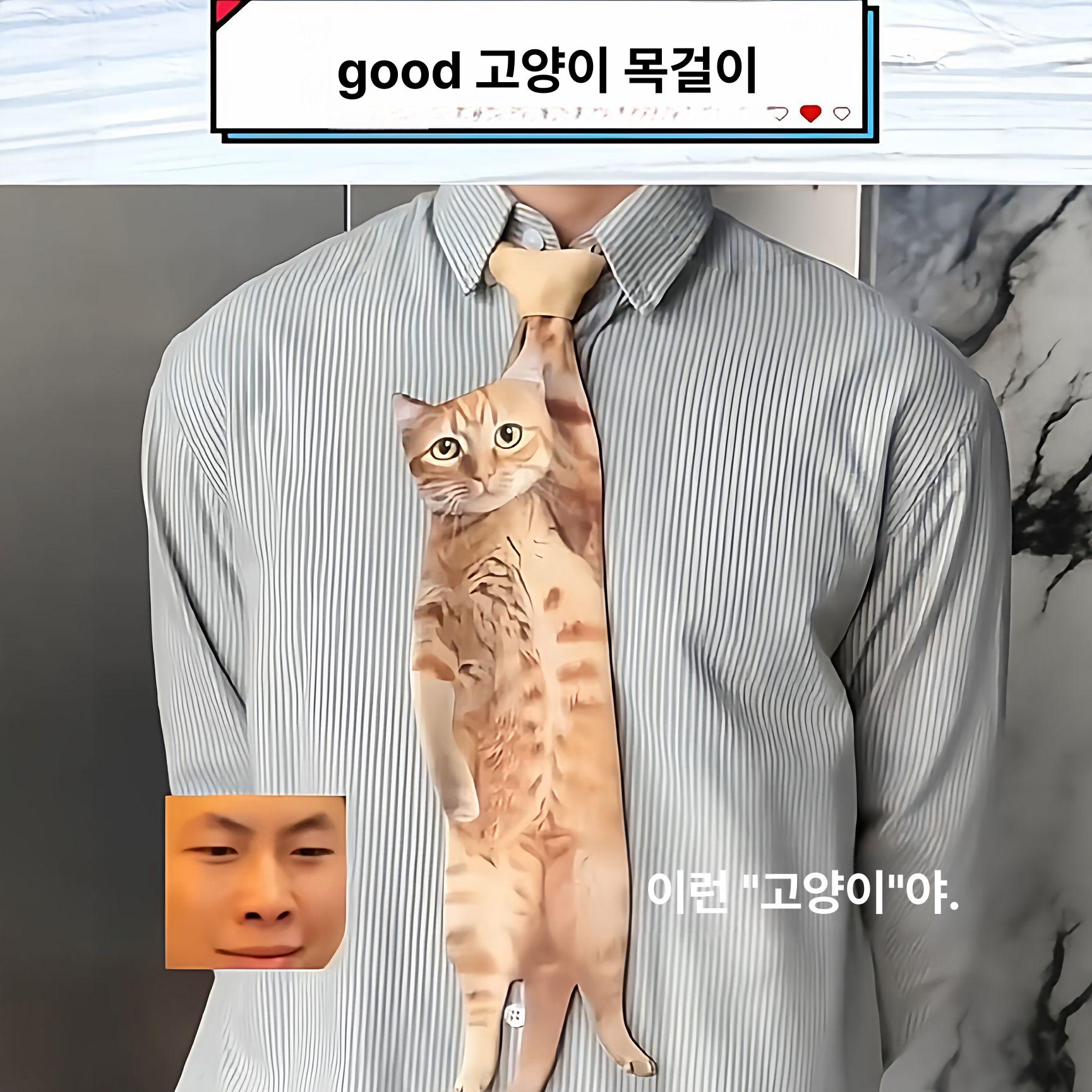 고양이넥타이 동물 선물 웃긴 포인트 캐릭터 패션 디자인 걸이형 고양이 넥타이 [리틀 오렌지 캣] - 상세 이미지 2