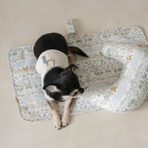 코지코너 프리미엄 산책매트 초강력 논슬립 방수 펫티켓매트 솔직 후기 | 실제 사용자 리뷰 총정리 - 상품 이미지 2