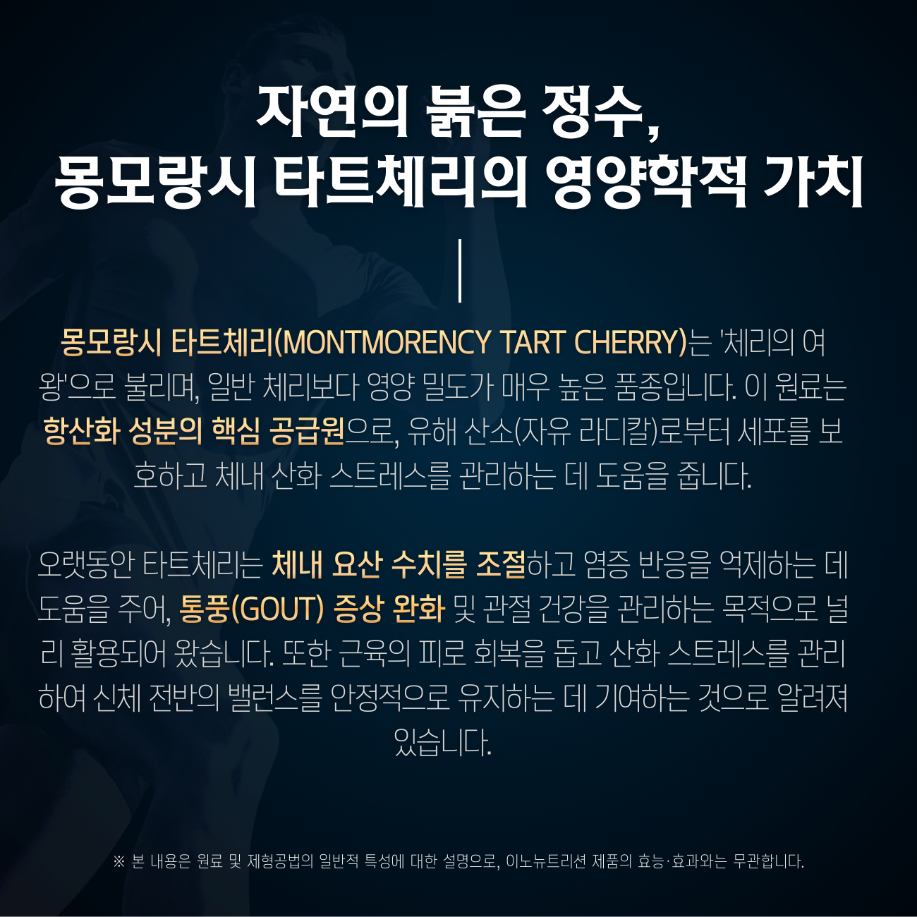 몽모랑시 타트체리 120캡슐 식물성 멜라토닌 - 상세 이미지 5
