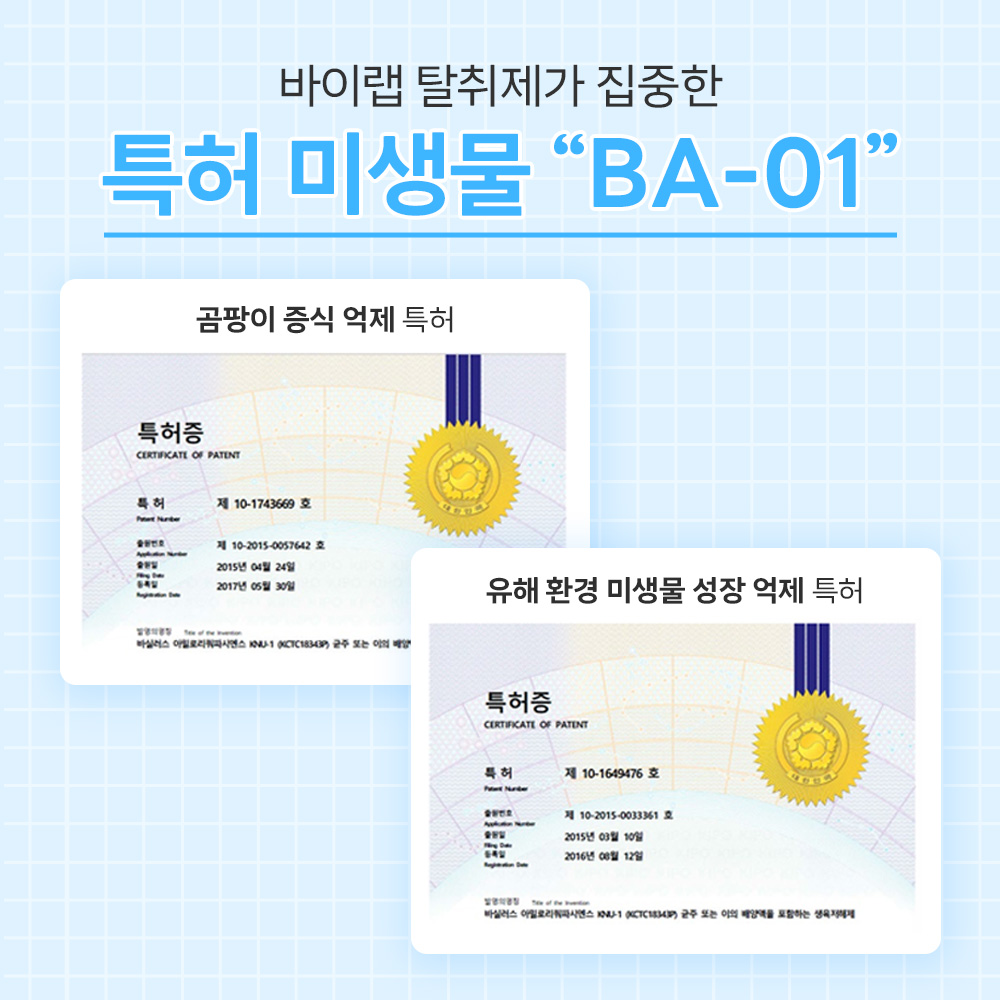 바이랩 강아지 냄새 오줌 암모니아 배변 소변 얼룩 제거 미생물 탈취제 300ml, 1개 이미지 6