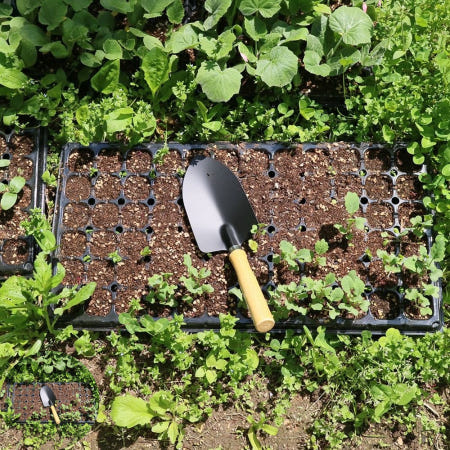 모종삽 농기구 삽자루 막삽 미니삽 모종심기