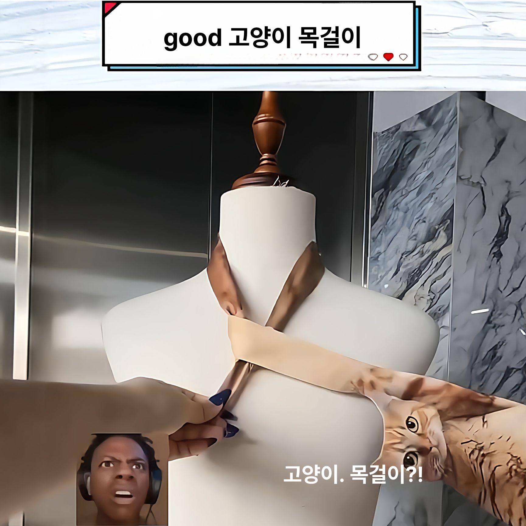고양이넥타이 동물 선물 웃긴 포인트 캐릭터 패션 디자인 걸이형 고양이 넥타이 [리틀 오렌지 캣] - 상세 이미지 4