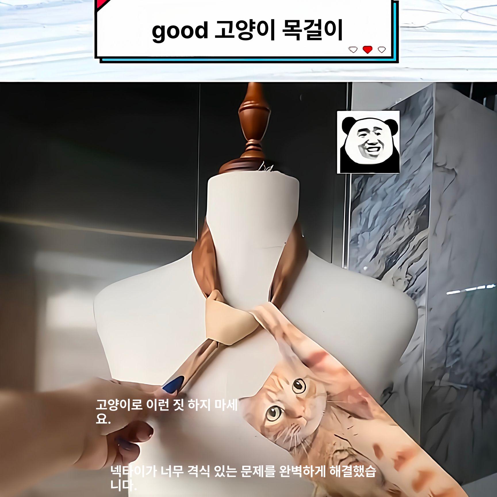 고양이넥타이 동물 선물 웃긴 포인트 캐릭터 패션 디자인 걸이형 고양이 넥타이 [리틀 오렌지 캣] - 상세 이미지 5
