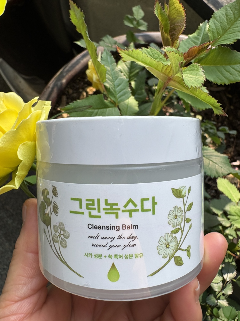 아마란스피누스 진주지점 photo 5
