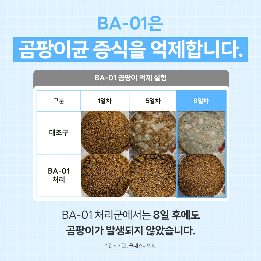 바이랩 강아지 냄새 오줌 암모니아 배변 소변 얼룩 제거 미생물 탈취제 300ml, 1개 이미지 7