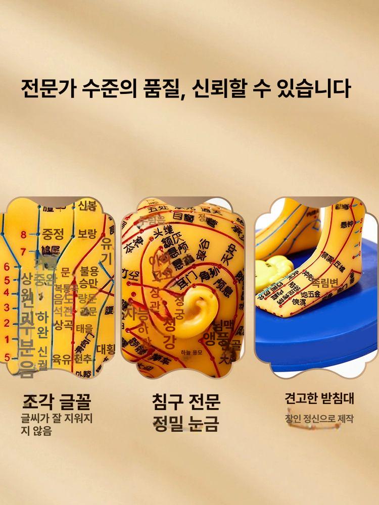 경혈 모형 한의학 실습 전신 침술 인체 모델 혈자리 178cm 대형 경질 구리색 남성 모델 - 상세 이미지 3