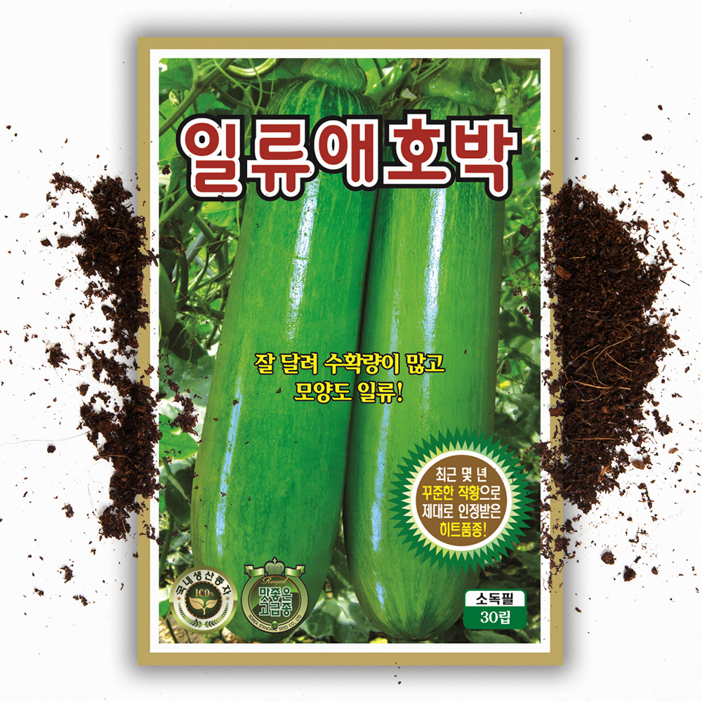 애호박씨앗 30립 국내채종 애호박 호박 종자 채소 씨 - 상품 이미지