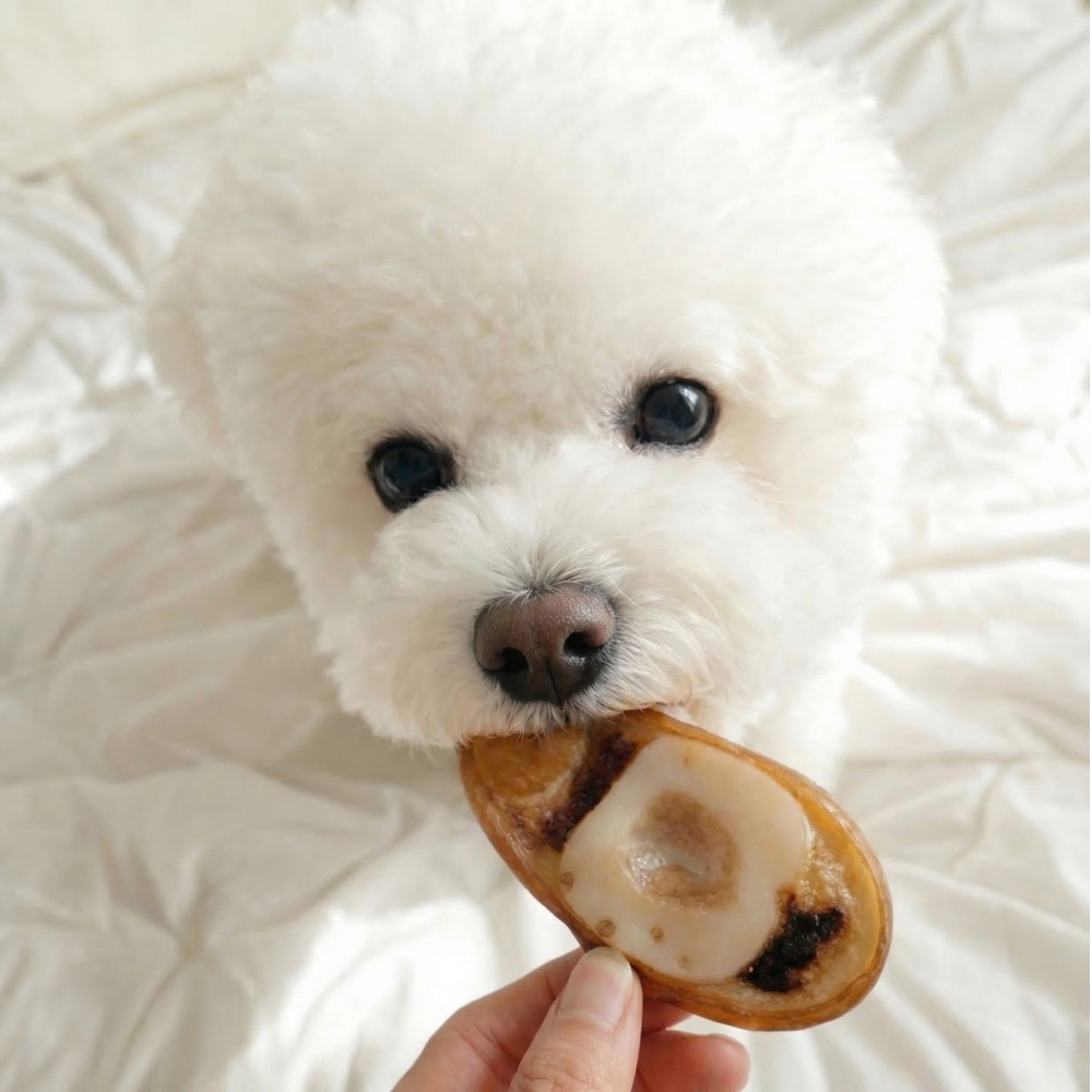 강아지 우족 슬라이스 강아지 오래 먹는 간식 대형견간식 스트레스관리, 300g, 2개 이미지 2