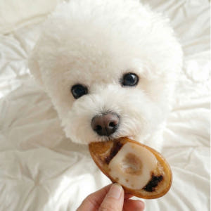 강아지 우족 슬라이스 강아지 오래 먹는 간식 대형견간식 스트레스관리, 3... 솔직 후기 | 실제 사용자 리뷰 총정리 - 상품 이미지 2