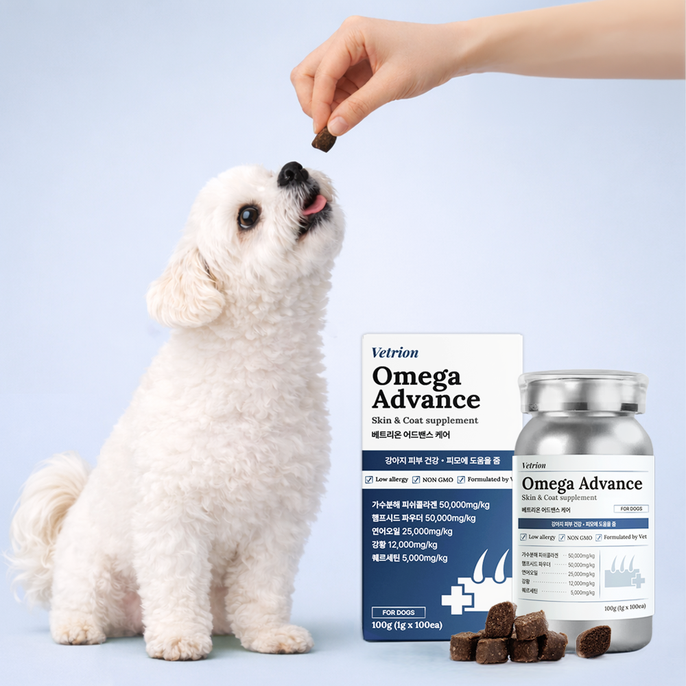 베트리온 강아지 피부 영양제 곰팡이 알러지 피부염 오메가3 어드밴스 100정, 1개 제품 이미지