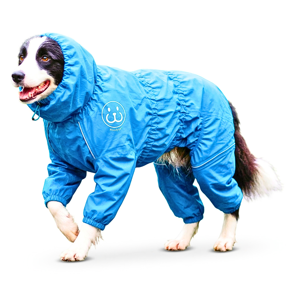 강아지 액티비티 올인원 우비 방수 레인코트 비옷 장마 산책 방풍 캠핑 우... 솔직 후기 | 실제 사용자 리뷰 총정리 - 대표 이미지